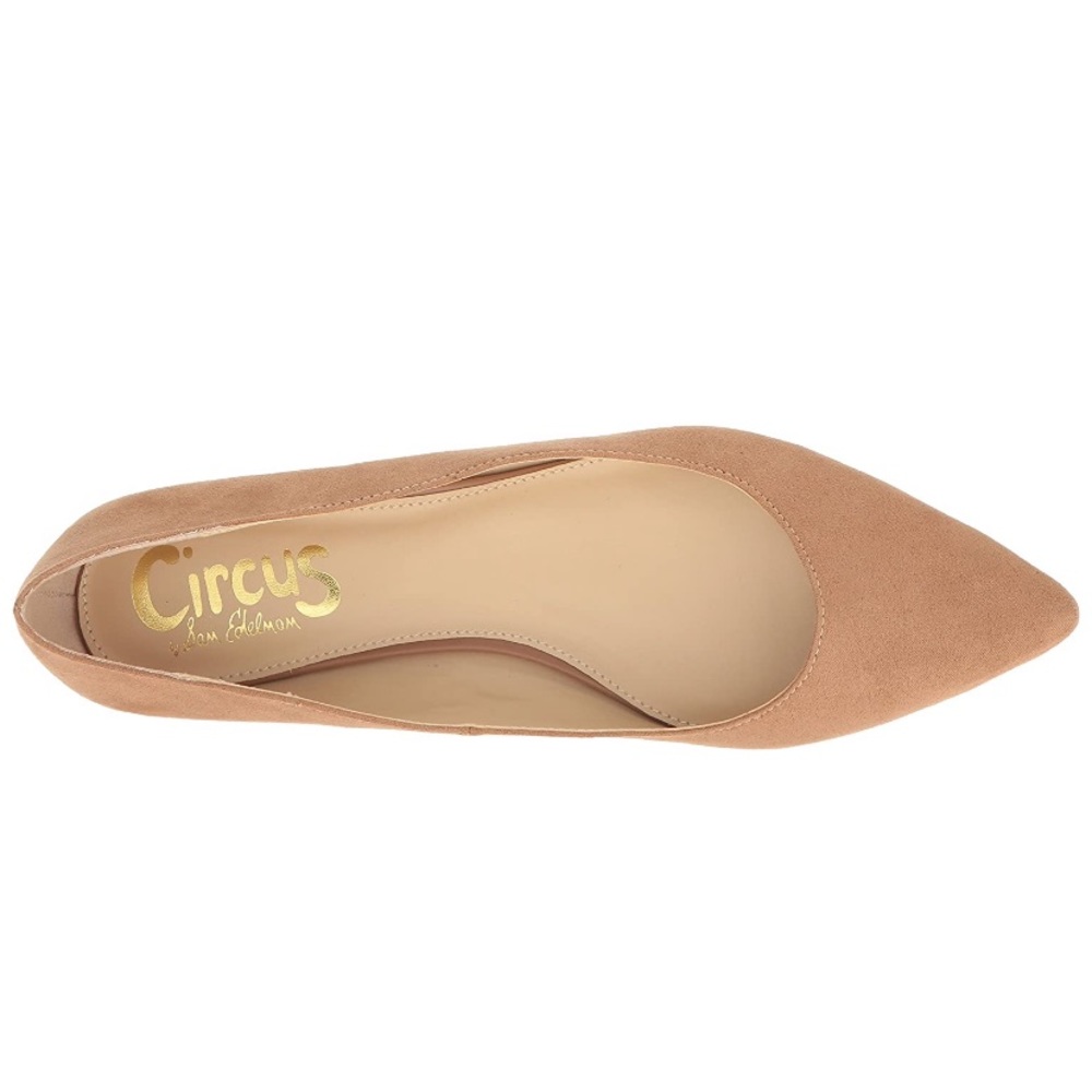 Circus by Sam Edelman Honor Pointy-Toe Flats